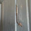 18e eeuwse Hoge Kast Kledingkast Keukenkast 240 cm. - Afbeelding 3