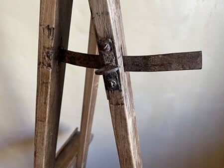 Schildersezel Toonezel Vruchtenhout - Afbeelding 13