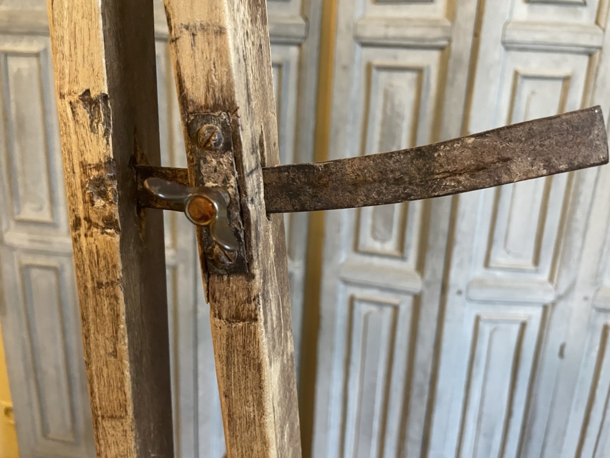 Schildersezel Toonezel Vruchtenhout - Afbeelding 14