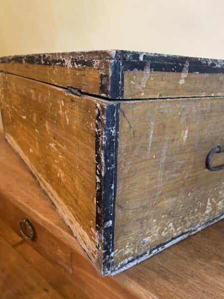 Le Chat Kist Hoffman D`Amidon - Afbeelding 15