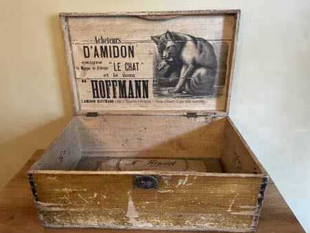 Le Chat Kist Hoffman D`Amidon