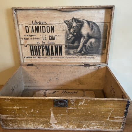 Le Chat Kist Hoffman D`Amidon