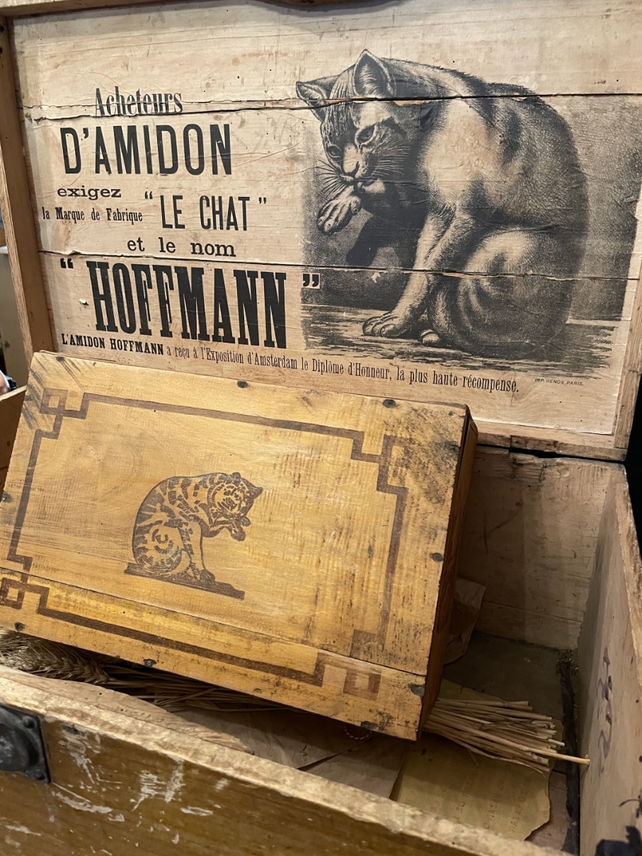 https://www.toonkamerwebshop.nl/wp-content/uploads/2025/09/IMG_1323.jpg
