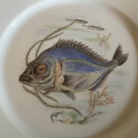 Porseleinen Borden Schaal Visdecoratie Limoges Foëcy