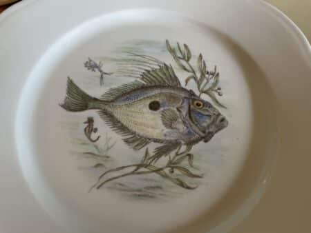 Porseleinen Borden Schaal Visdecoratie Limoges Foëcy - Afbeelding 3