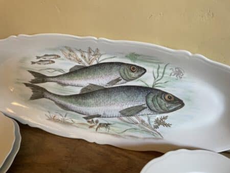 Porseleinen Borden Schaal Visdecoratie Limoges Foëcy - Afbeelding 7